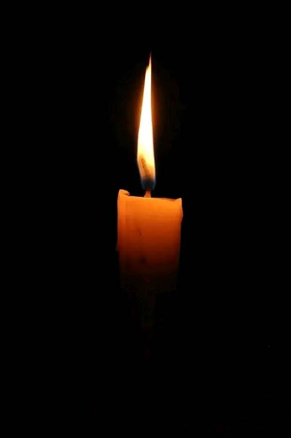 Alexia Kuvshinikov Obituary Santa Clara, CA Death